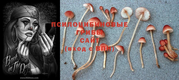 МДМА Приозерск