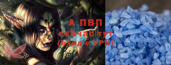 гидра Гвардейск