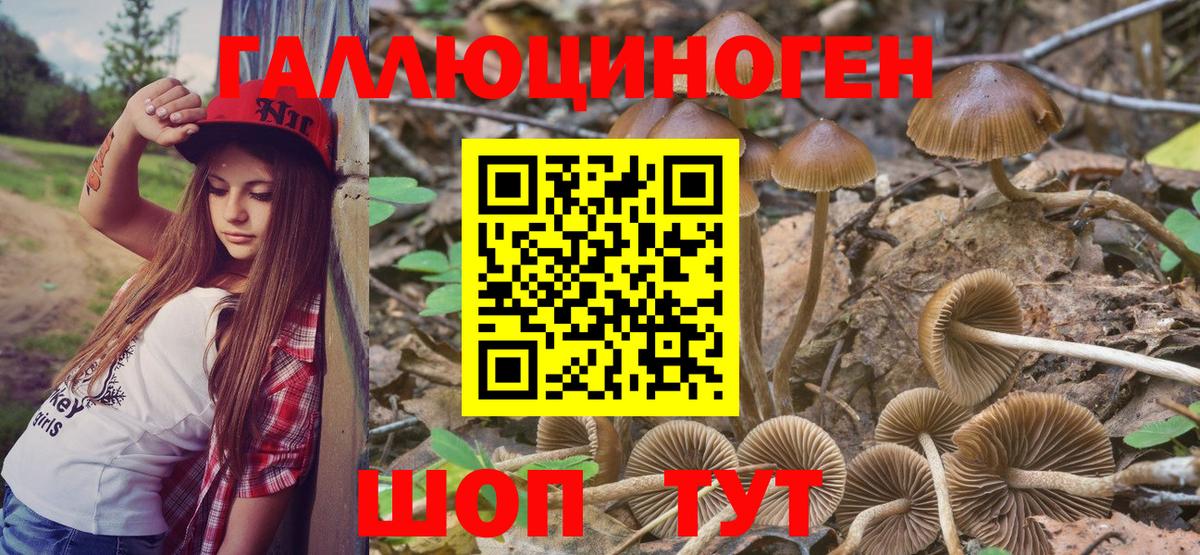 Грязи  Галлюциногенные грибы мухоморы  Вход с VPN  Псилоцибиновые грибы ЛСД 