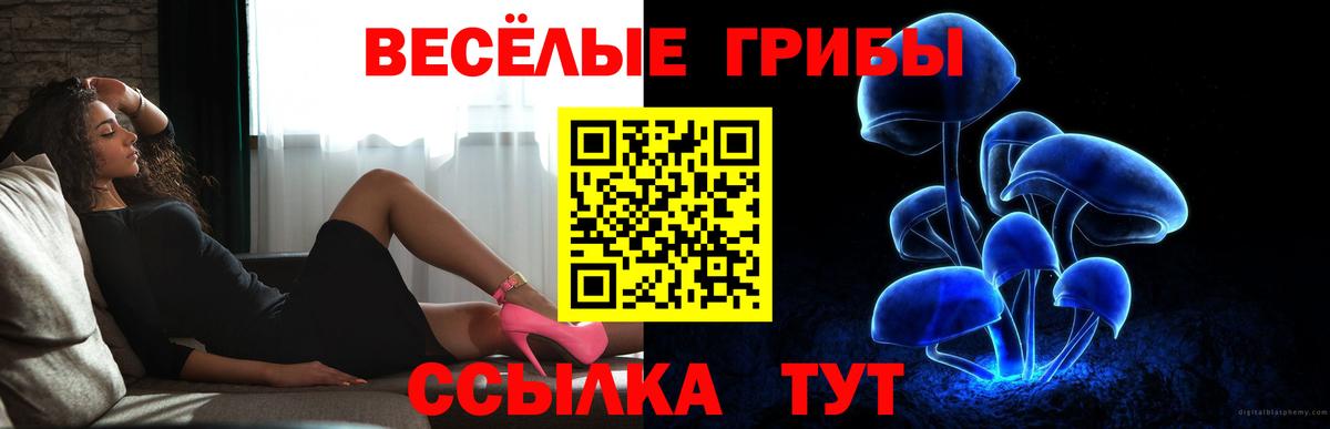 Псилоцибиновые грибы мухоморы Грязи